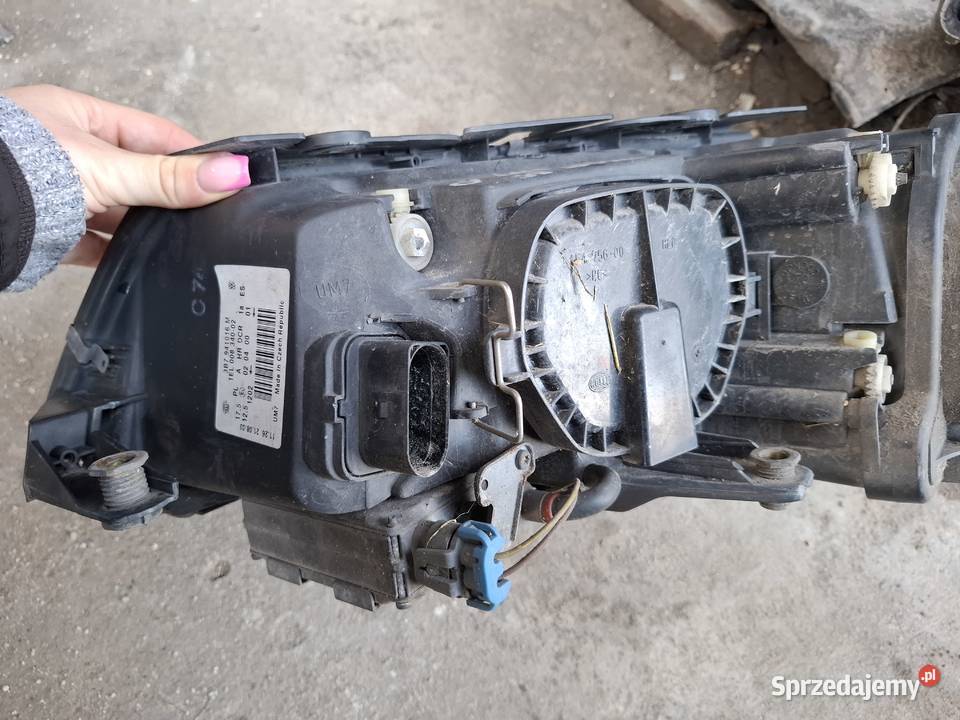 Lampa Prawa Przód Volkswagen Passat B5 FL XENON osobowe Wisznice sprzedam