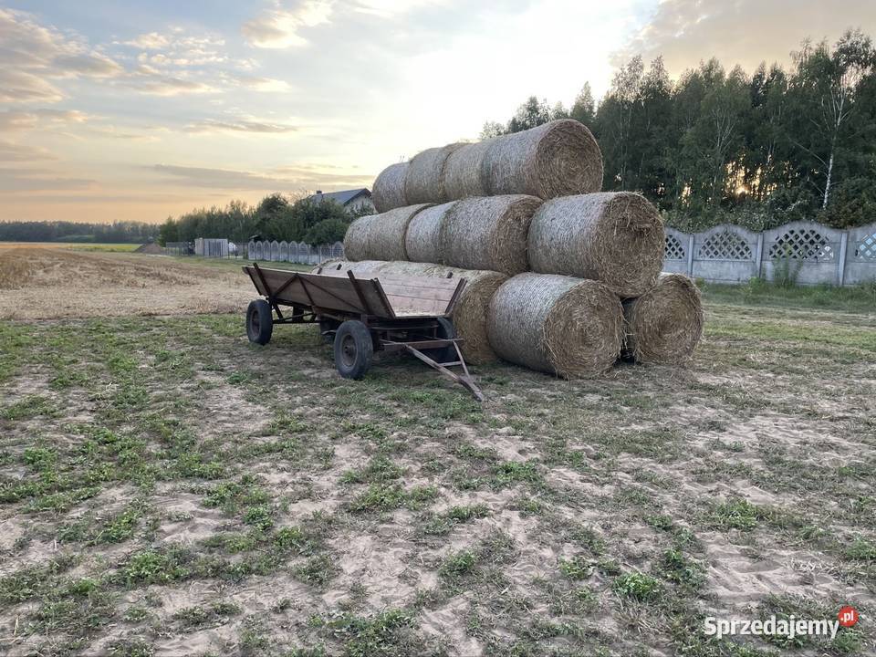 Słoma pszenżytnia i jęczmienna Łódź