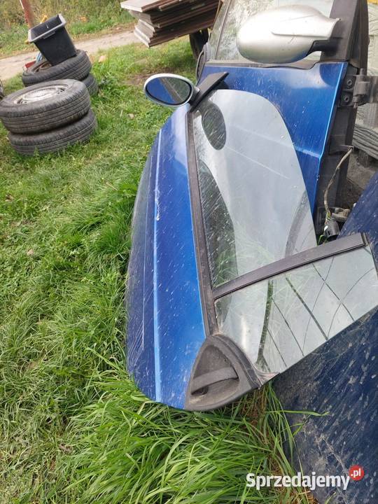 Drzwi kompletne SMART FORTWO wielkopolskie Plewiska