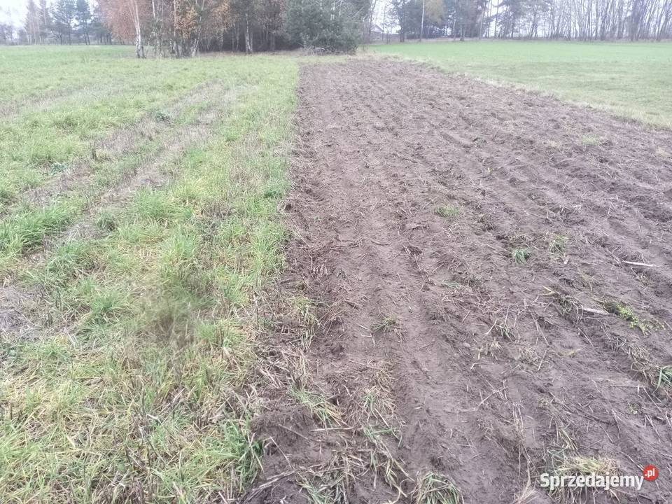Agregat uprawowy ścierniskowy gruber bezorkowy Parzęczew