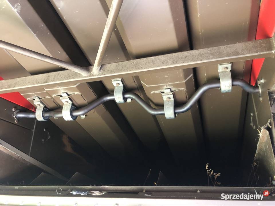 Massey Ferguson 31xp Dronningborg Zbożowe Mikoszewo