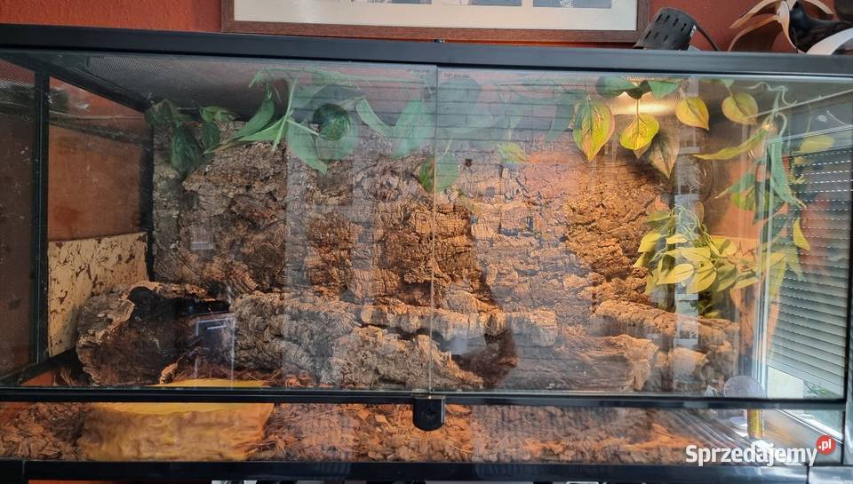Terrarium Reptii Zoo 9045 z wyposażeniem Terrarystyka opolskie Opole
