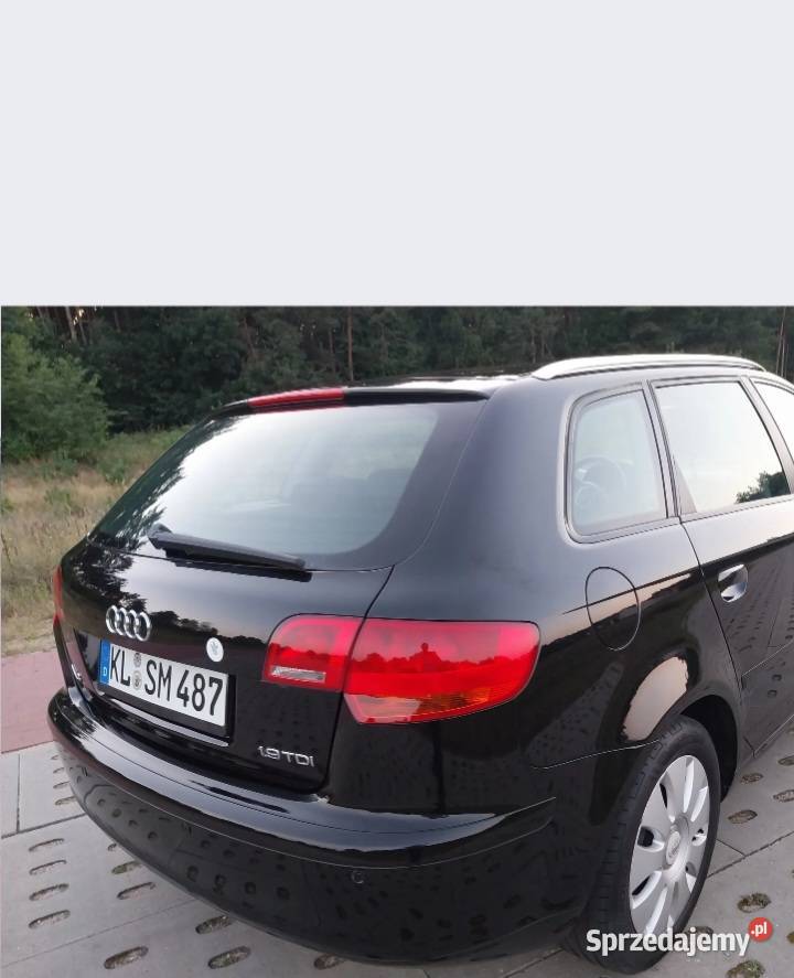 Audi A3 8P 19 TDIPiękna Czarna Woda
