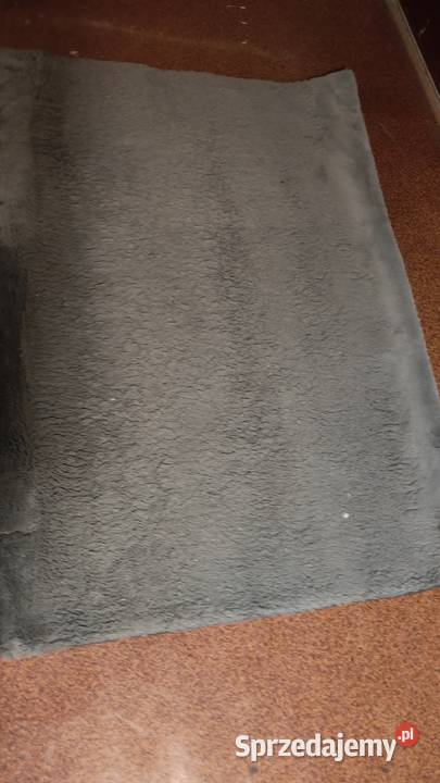 Dywan 160120 szary dolnośląskie Świdnica