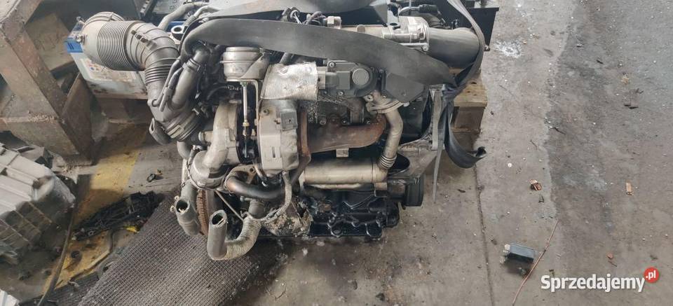 SILNIK MOTOR VW PASSAT B5 BRU KOMPLETNY Rudziniec sprzedam