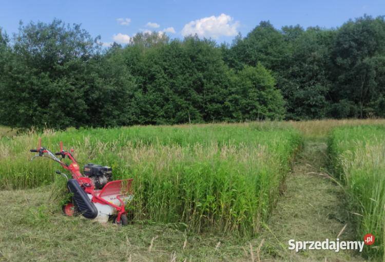 MASTERCUT SG0812A KARCZOWNICA KARCZOWNIK