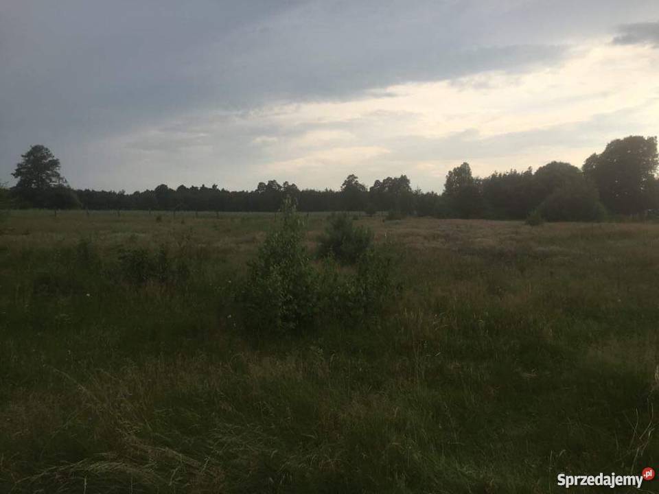 Działka rolnosiedliskowa 50300 m2 Pilicą Łęg Ręczyński