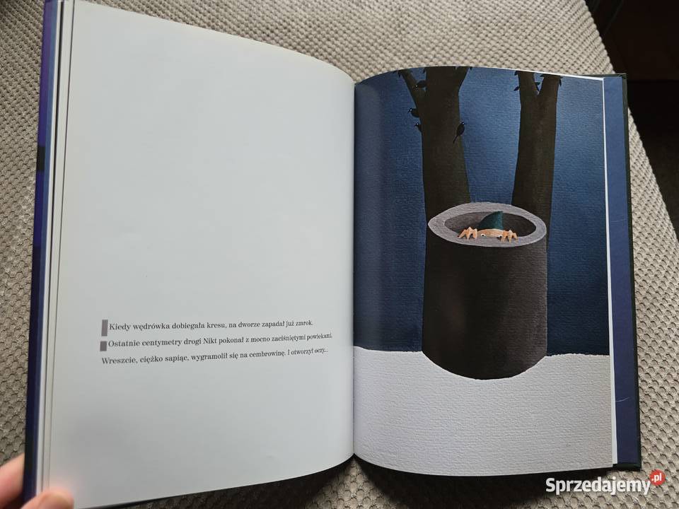 Małgorzata Strzałkowska Zielony i Nikt Książki dla dzieci Kraków