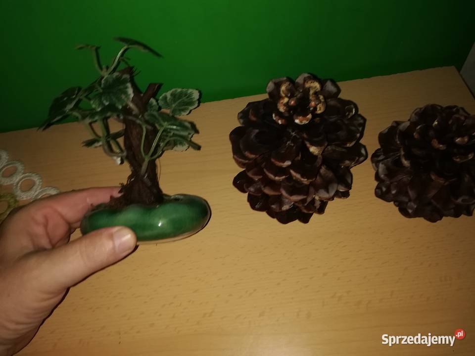 Ozdoby dekoracje Dekoracje i ozdoby Warszawa