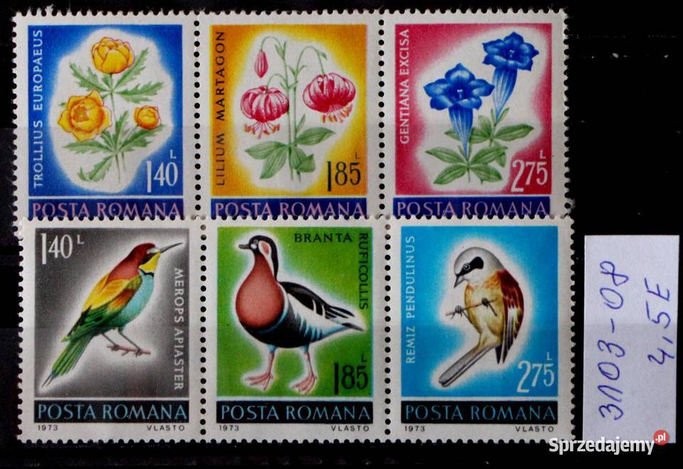 Rumunia ptaki Oborniki sprzedam