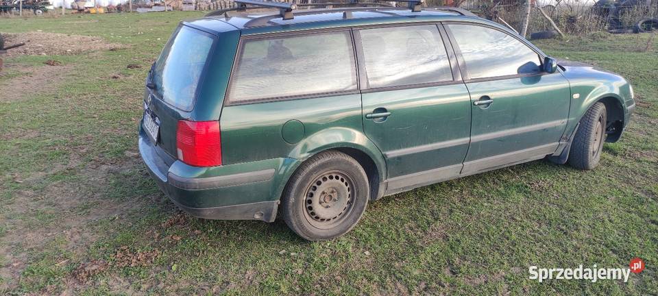Pastuch 18 gas 4/5 Passat Szczytno
