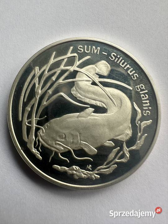 Moneta kolekcjonerska Sum Numizmatyka Jawiszowice