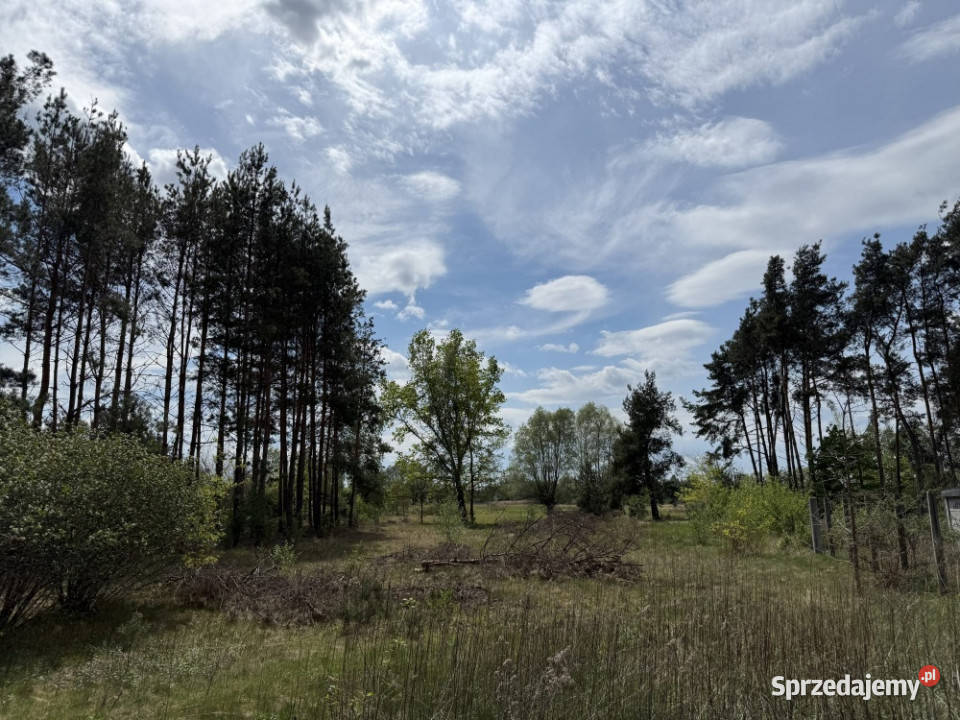Siedlisko rzeką 50 Warszawy Tłuszcz