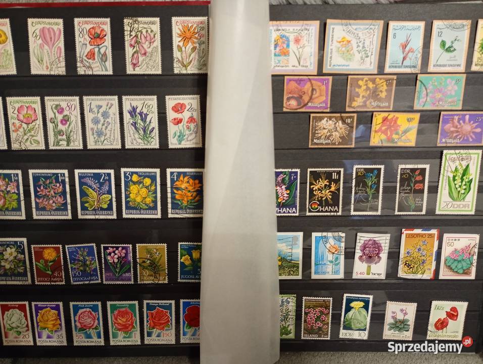 Duży album klaser ze starymi znaczkami