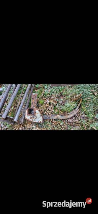 Gruber 1113 łap Gąbin