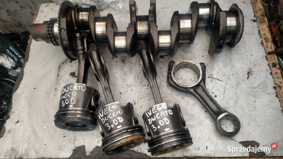 FIAT DUCATO IVECO DAILY 30 JTD HPI wal korbowy dostawcze Kielce