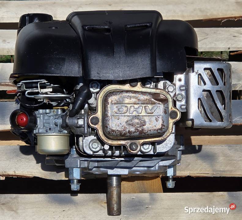 Sprzedam silnik BriggsStratton OHV 2 INTEK 60 Jasienica