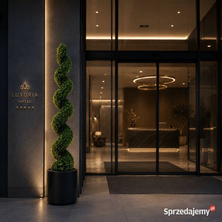 Elegancki bukszpan spiralny 150