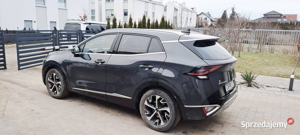 Kia Sportage 16 TGDI Business Line 2WD Gdynia