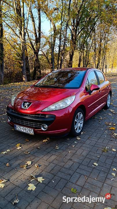 Peugeot 207 1.6 109 km LPG