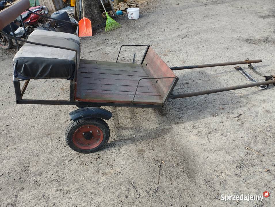 Bryczka kuca Krasnystaw