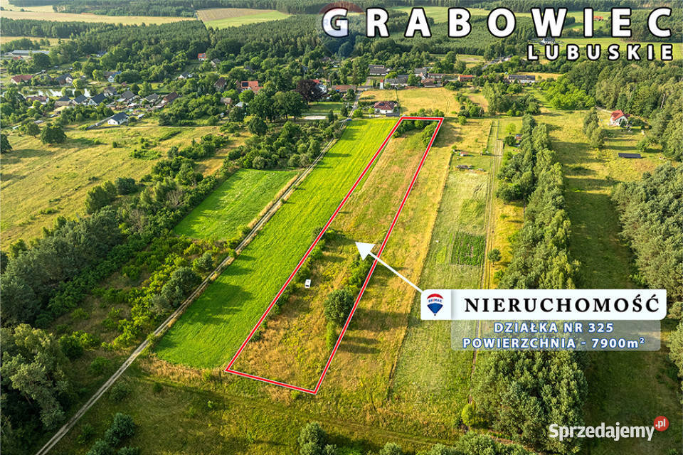 Na sprzedaż działka rolna 7900 m2 pod lasem