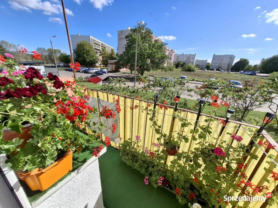 Sprzedam mieszkanie na parterze2 pokojebalkon 49m2 Bydgoszcz sprzedam