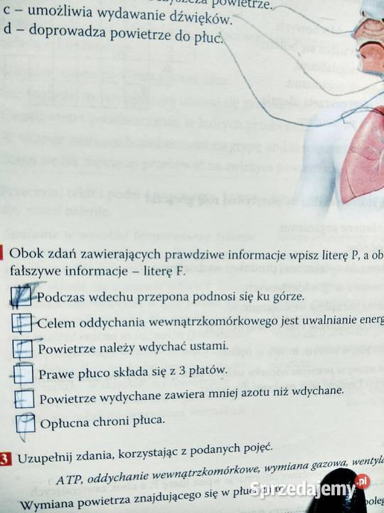 Puls życia Warszawa