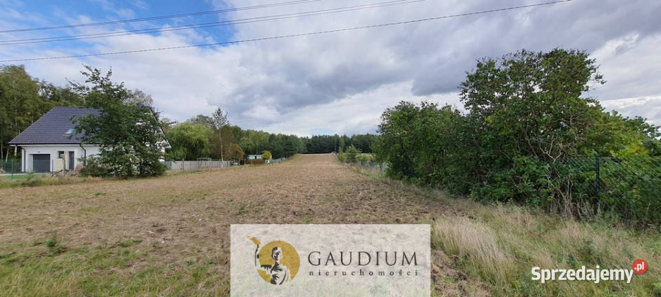 Koteże działka tuż lesie