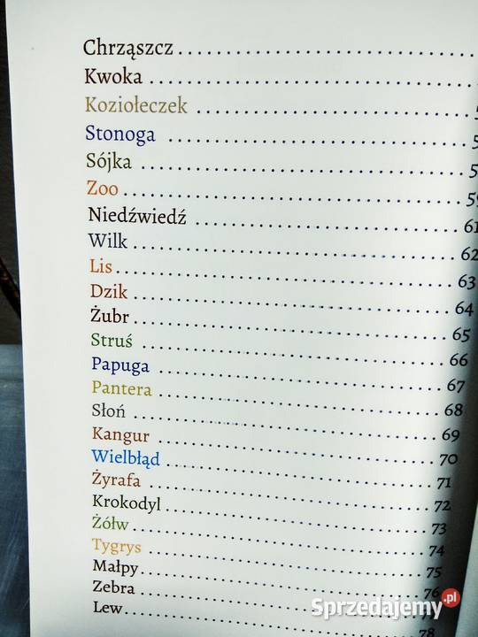 Najpopularniejsze wiersze dzieci książki
