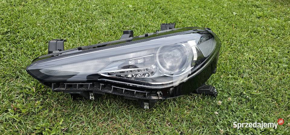 Alfa Romeo Giulia Lewa lampa xenon skrętny lewe Przygodzice