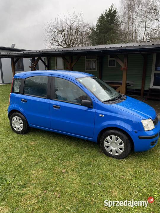 Fiat panda 11