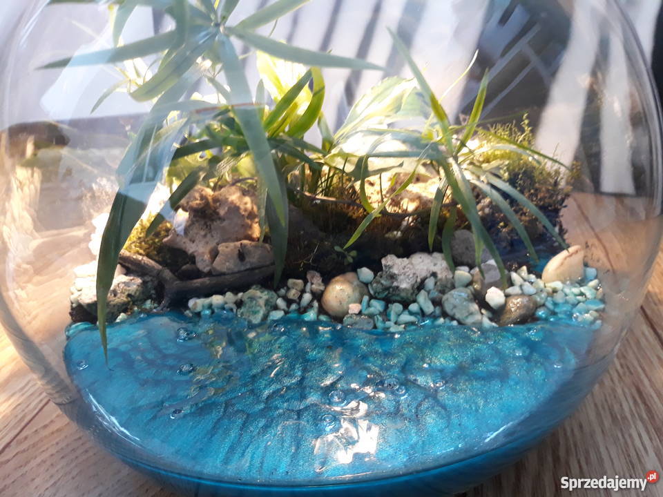 Las w szkle Rajska Wyspa pomorskie Gdańsk