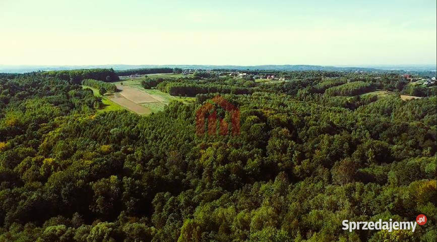 Grunt 15800 metrów Gnojnica 15800m2