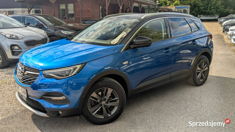 Opel Grandland X śląskie