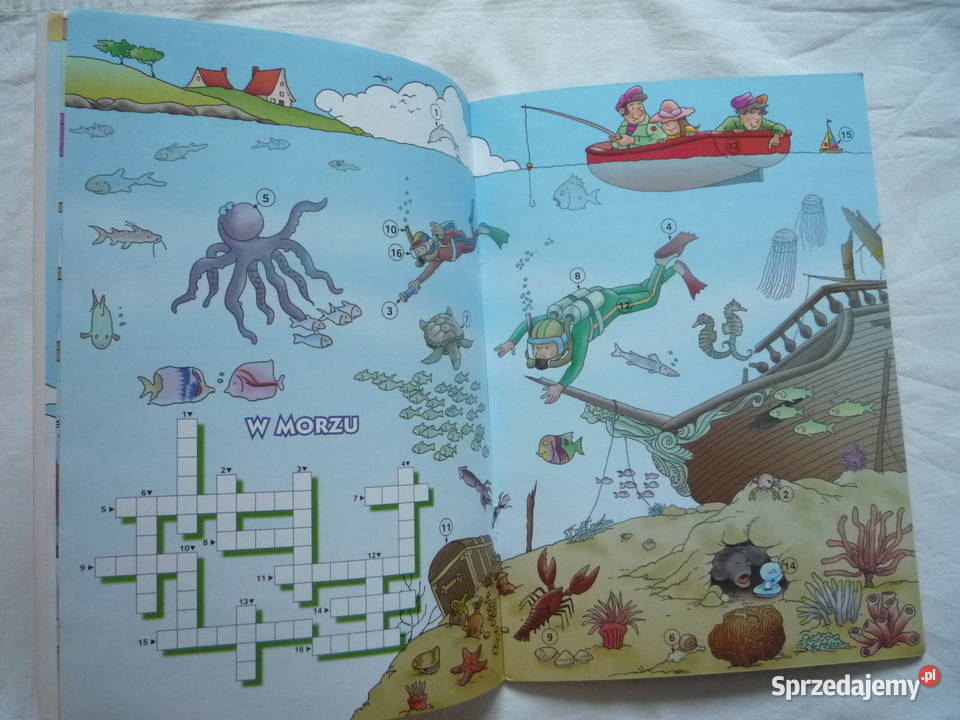 Moje pierwsze krzyżówki Szczecin