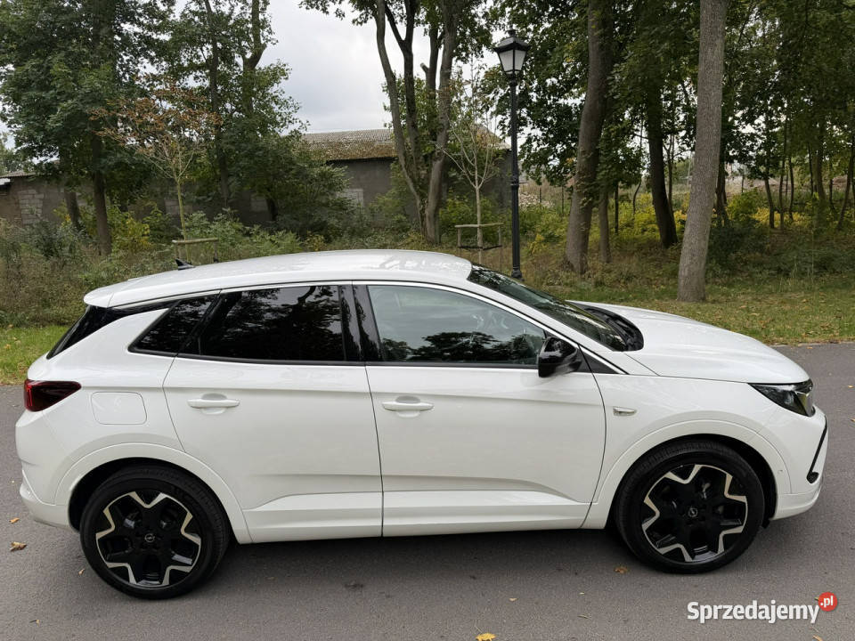 Opel Grandland 15 CDTI 130 Full Led Navi Automat Józefkowo