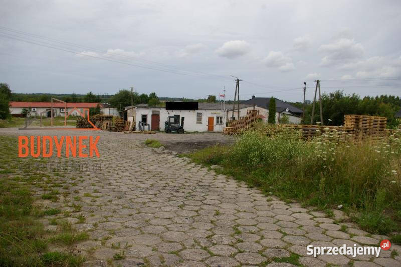 Działka budowlana Pękanino 125zł/m2