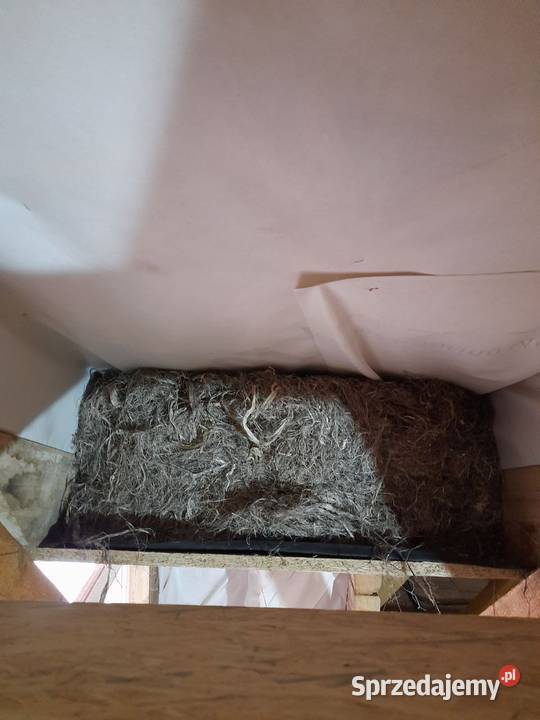 Włókno konopne wełna konopna konopie do lubelskie Zamość