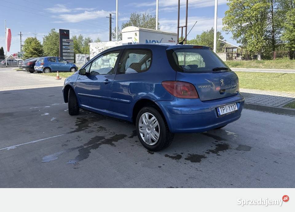 Peugeot 307 20HDI 90 świętokrzyskie Pińczów