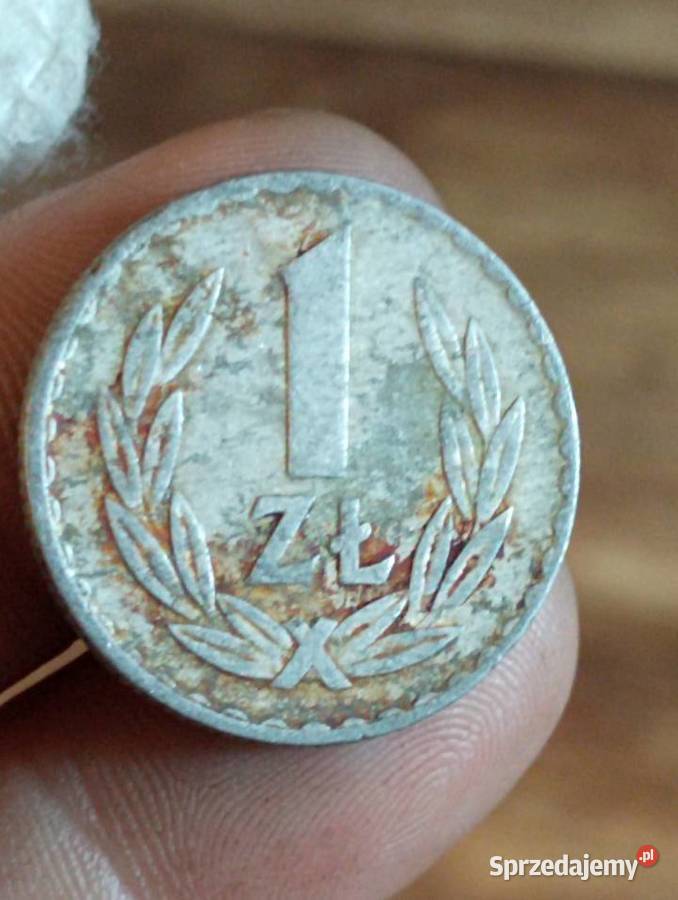 Sprzedam monete 1 zl 1973 r zzm Chełm