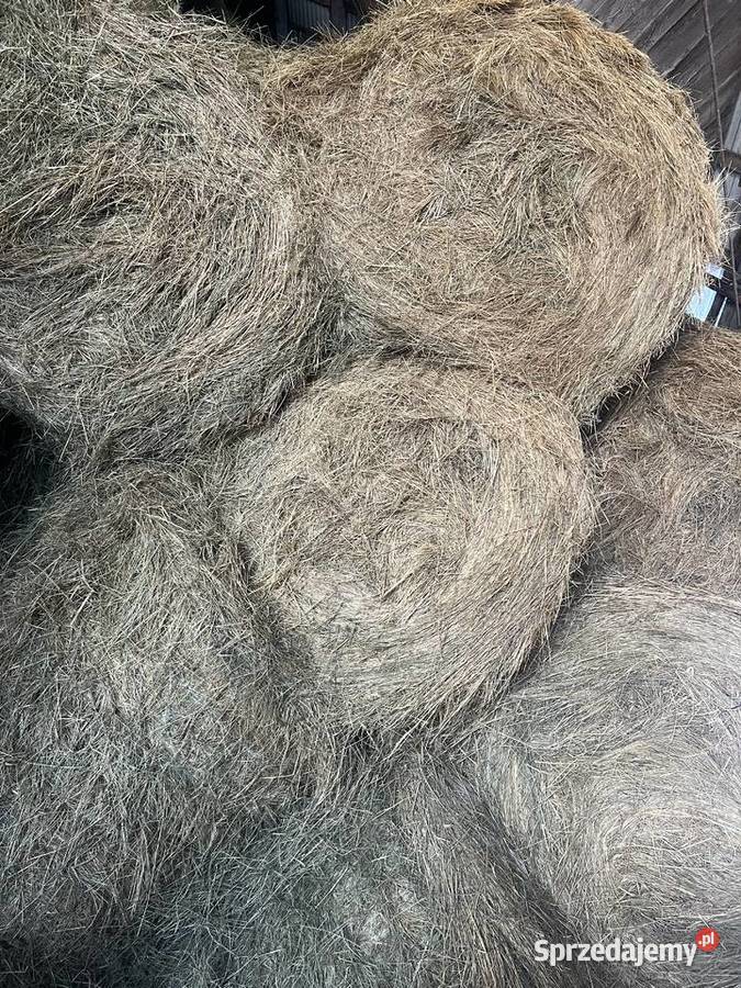 Siano 2025 Karmy i pasze lubelskie Śniatycze sprzedam