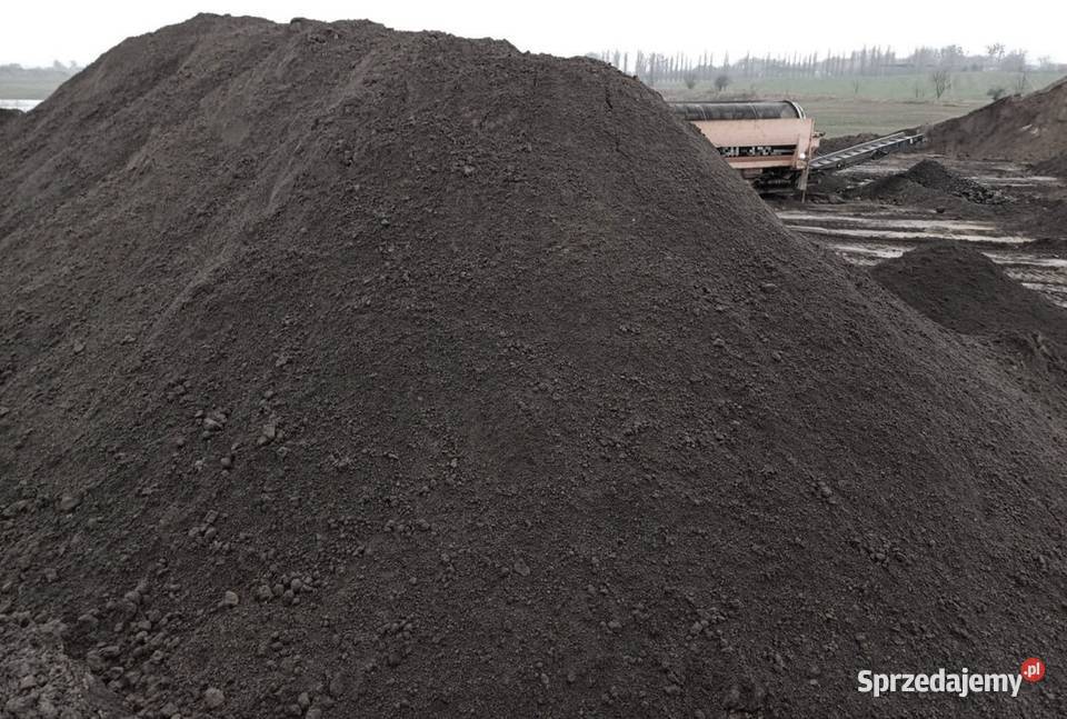 Czarnoziem czarnoziem siany Dom i Ogród Stężyca