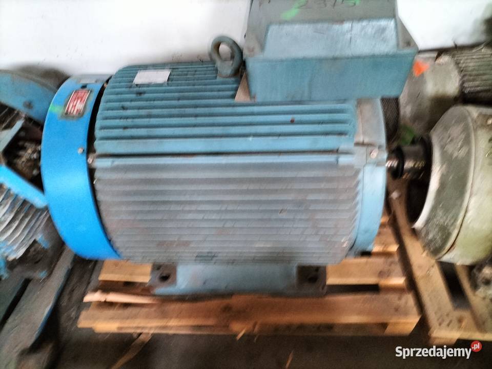 Silnik elektryczny 315kw Toruń