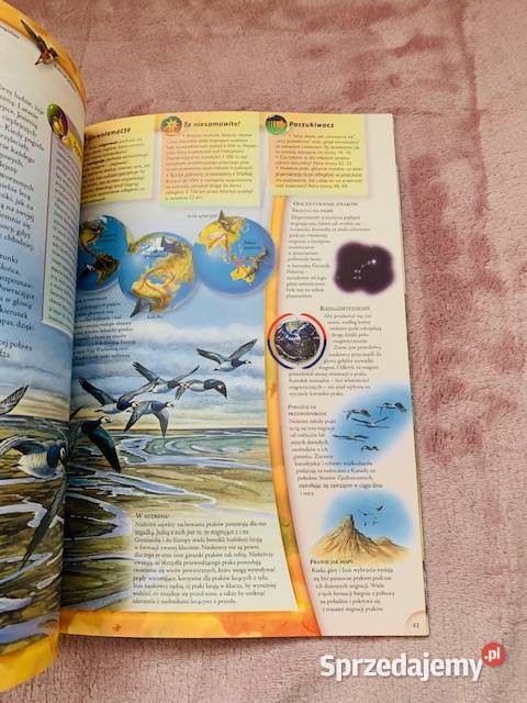 Ptaki Poszukiwacze Edward S Brinkley Warszawa sprzedam