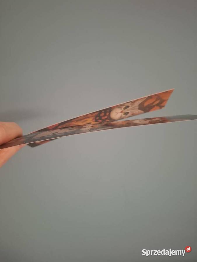 Zakładki do książek koty2 Wąbrzeźno