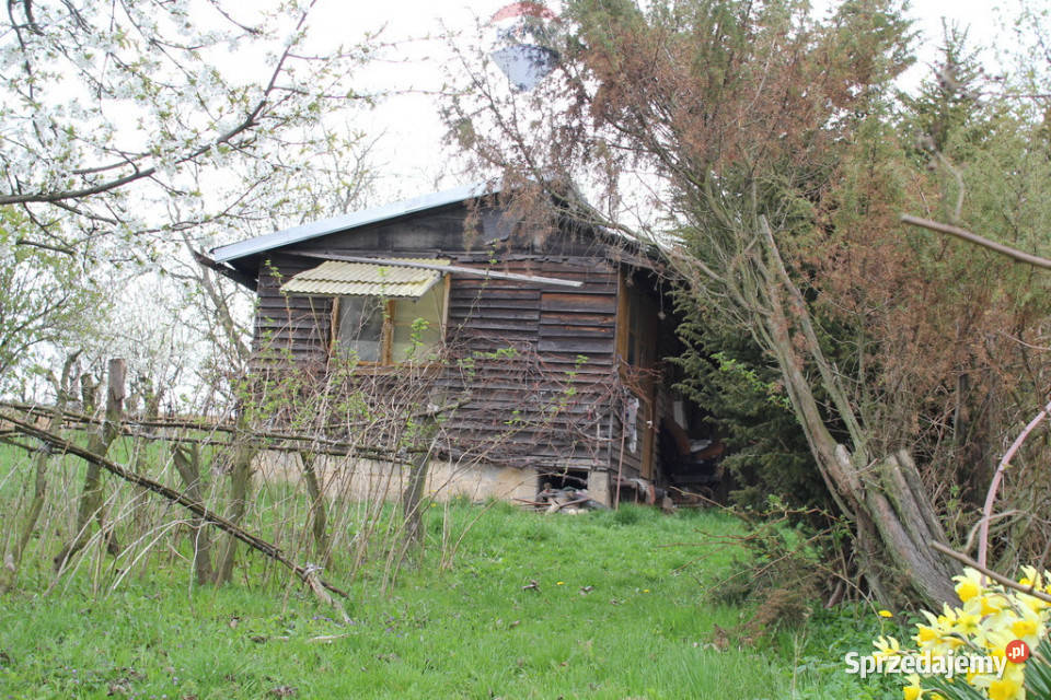 SAD OWOCOWY Sprzedaż Rudno Dolne