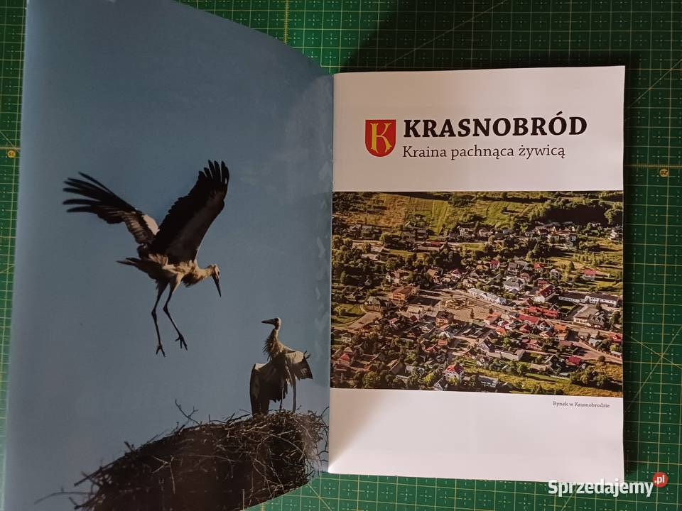 Krasnobród Kraina pachnąca żywicą przewodnik Rok wydania 2012 Kraków