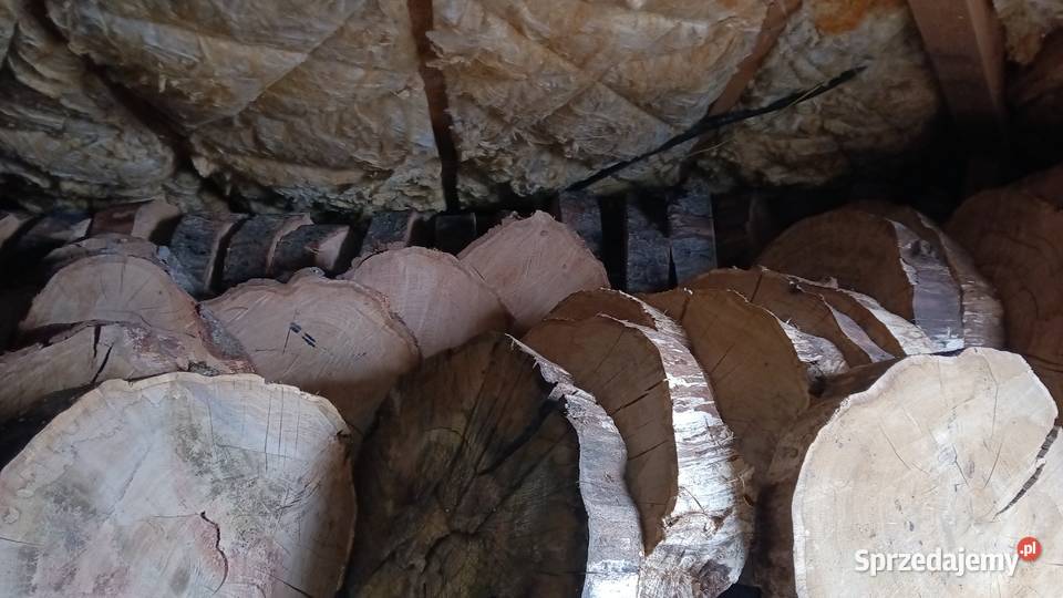 Plastry dębowe gotowe do obróbki Gorzów Wielkopolski sprzedam