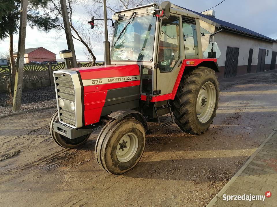 Massey ferguson 675 Ciągniki wielkopolskie Koźminek